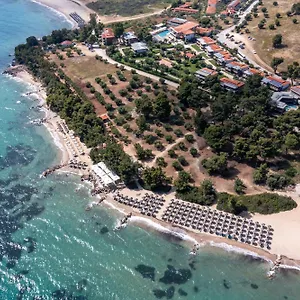 Blue Dolphin **** Metamorfosi (Sithonia)